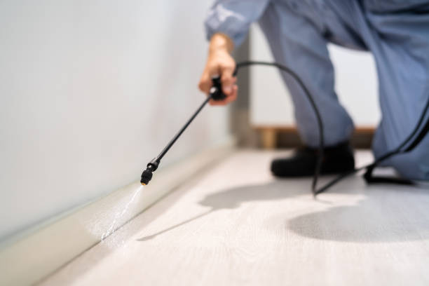Rodent Entry Point Assessment in Absecon