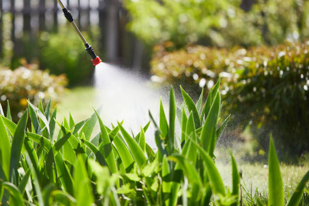 Tamper-Resistant Bait Stations for Rodents in Absecon
