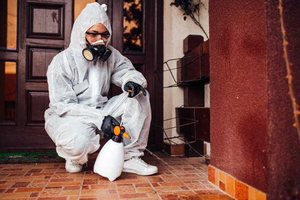 Attic and Crawl Space Rodent Treatment in Absecon